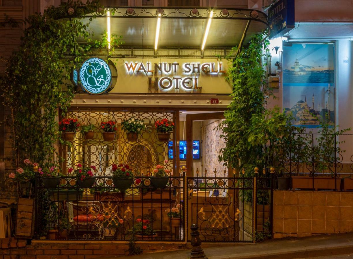 Walnut Shell 3*