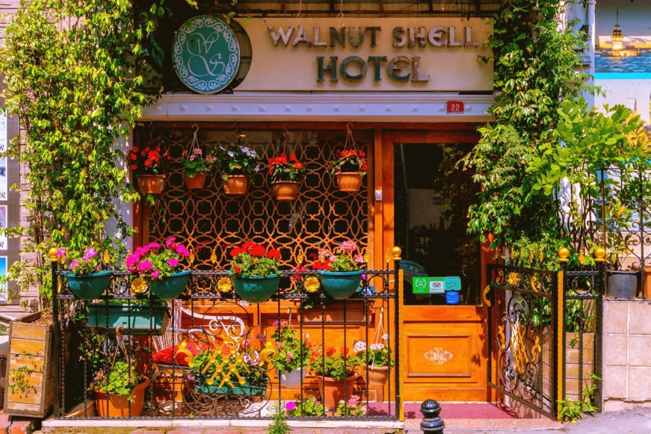 Walnut Shell Sultanahmet Istanboel